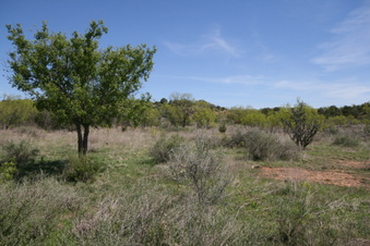 Enlarge photo 71