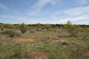 Enlarge photo 72