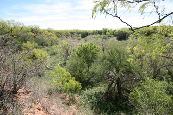 Enlarge photo 73