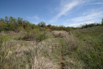 Enlarge photo 74