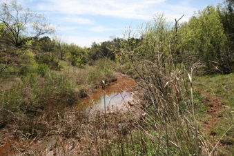 Enlarge photo 76