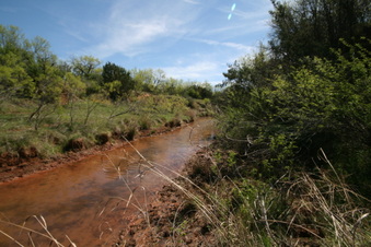 Enlarge photo 78