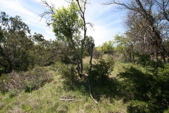 Enlarge photo 80