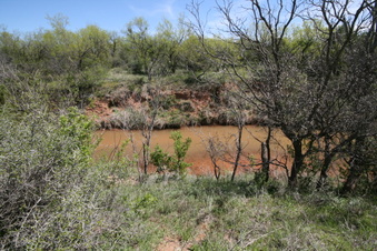 Enlarge photo 79