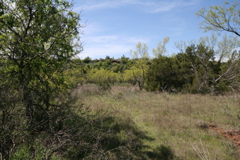 Enlarge photo 81