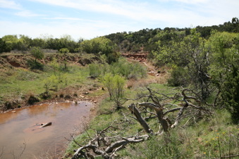 Enlarge photo 82