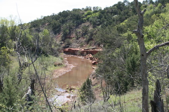 Enlarge photo 84