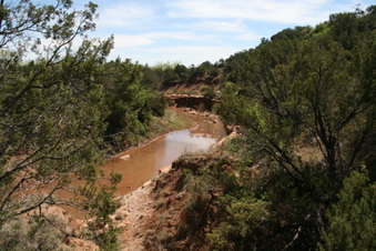 Enlarge photo 83