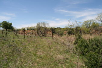 Enlarge photo 85