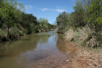 Enlarge photo 87