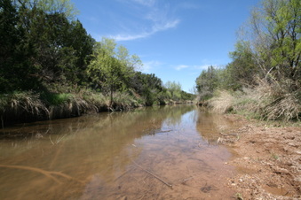 Enlarge photo 88