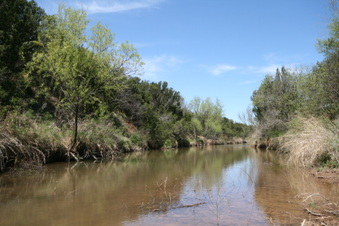 Enlarge photo 89