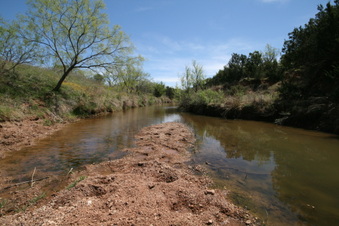 Enlarge photo 93