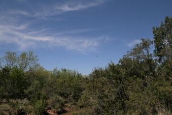 Enlarge photo 95