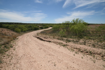 Enlarge photo 98