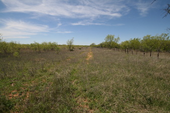Enlarge photo 99