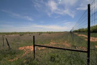 Enlarge photo 103