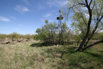 Enlarge photo 105