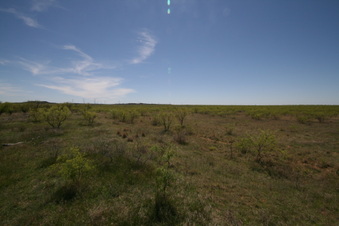 Enlarge photo 107