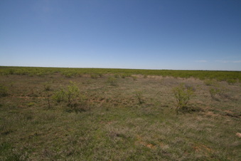 Enlarge photo 108