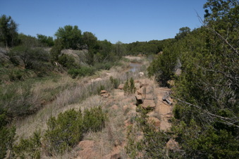 Enlarge photo 110
