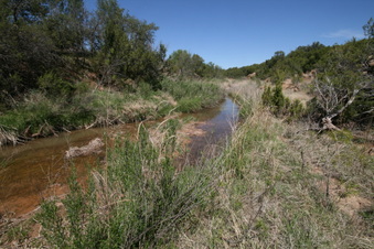 Enlarge photo 112