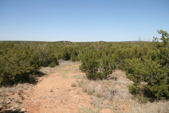 Enlarge photo 113