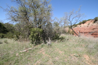 Enlarge photo 114