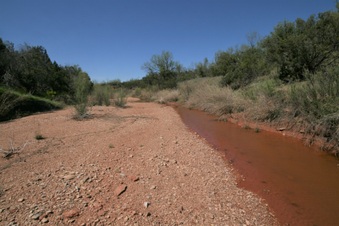 Enlarge photo 117