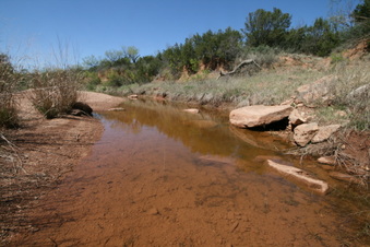 Enlarge photo 118