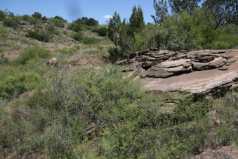 Enlarge photo 63