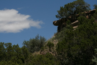 Enlarge photo 67