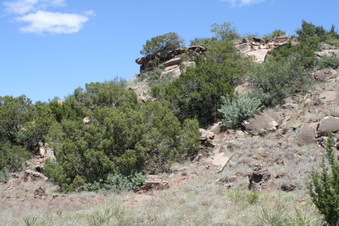 Enlarge photo 66
