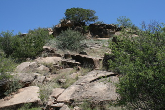 Enlarge photo 65