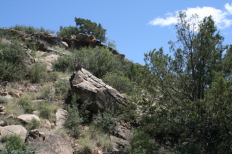 Enlarge photo 64