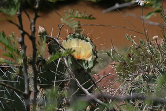 Enlarge photo 16