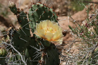Enlarge photo 21