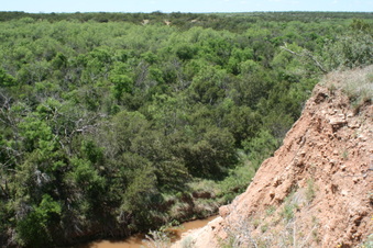 Enlarge photo 51