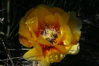 Enlarge photo 38