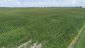Darins drone view
