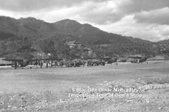 Enlarge photo 35