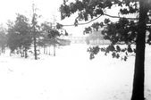 Enlarge photo 130