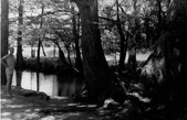 Enlarge photo 138