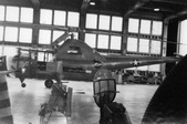 Enlarge photo 174