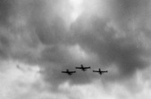 Enlarge photo 184