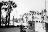 Enlarge photo 185