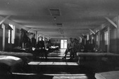 Enlarge photo 196