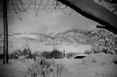 Enlarge photo 223