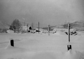 Enlarge photo 230