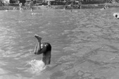 Enlarge photo 265